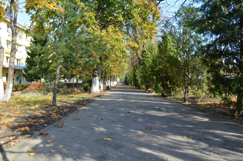 dsc_0084_48963605366_o