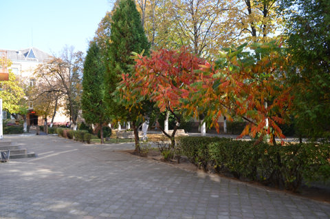 dsc_0126_48963608561_o
